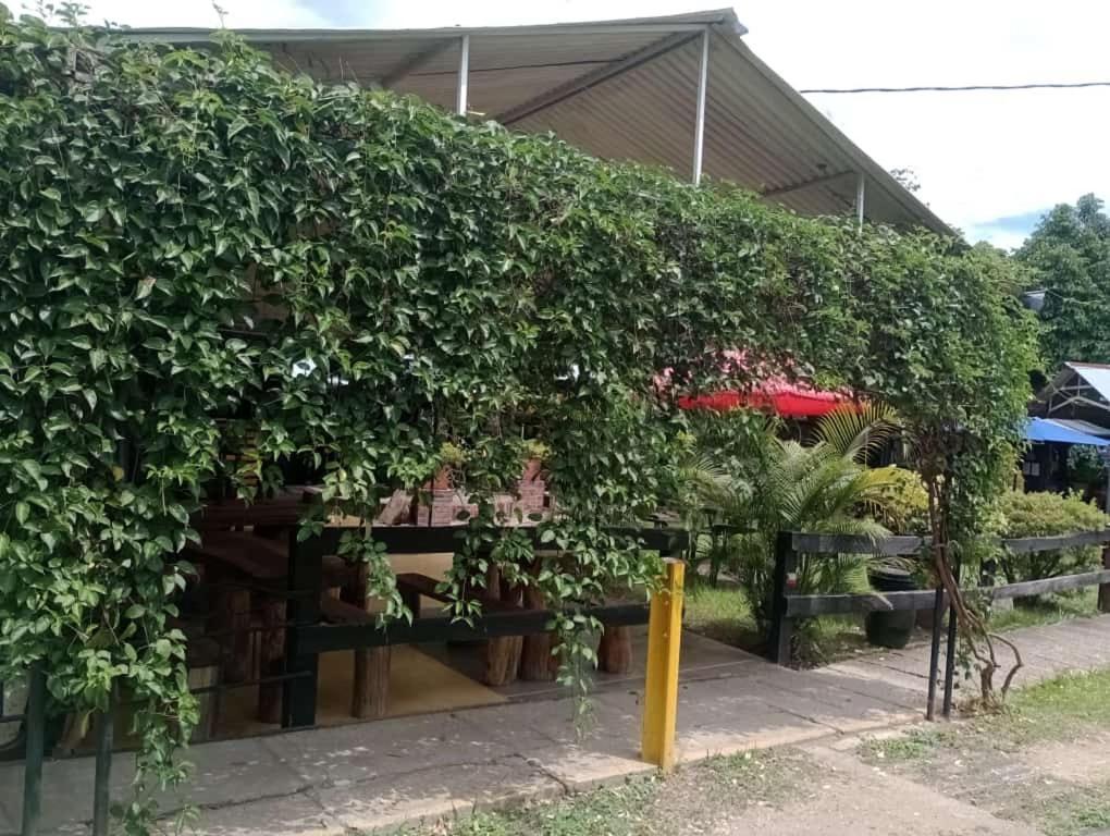 لا ميسا Loma Linda Hotel De Naturaleza المظهر الخارجي الصورة